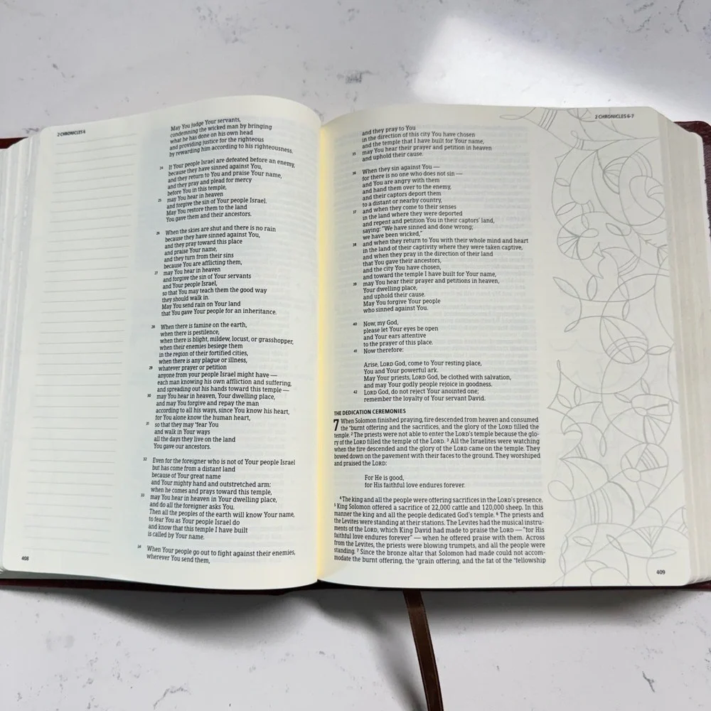 Holman Notetaking Bible HCSB Brown LeatherTouch Illustrator Edition